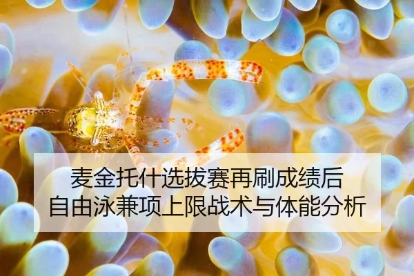 mai-jin-tuo-shen-xuan-ba-sai-zai-shua-cheng-ji-hou-zi-you-yong-jian-xiang-shang-xian-zhan-shu-yu-ti-neng-fen-xi-2-930.jpg